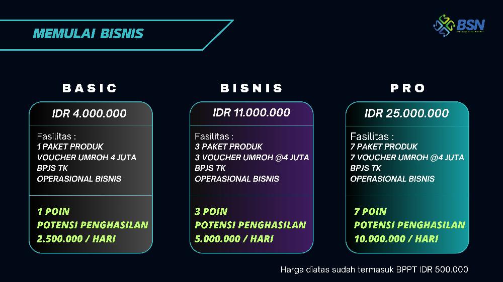 BSN Marketing Plan 10